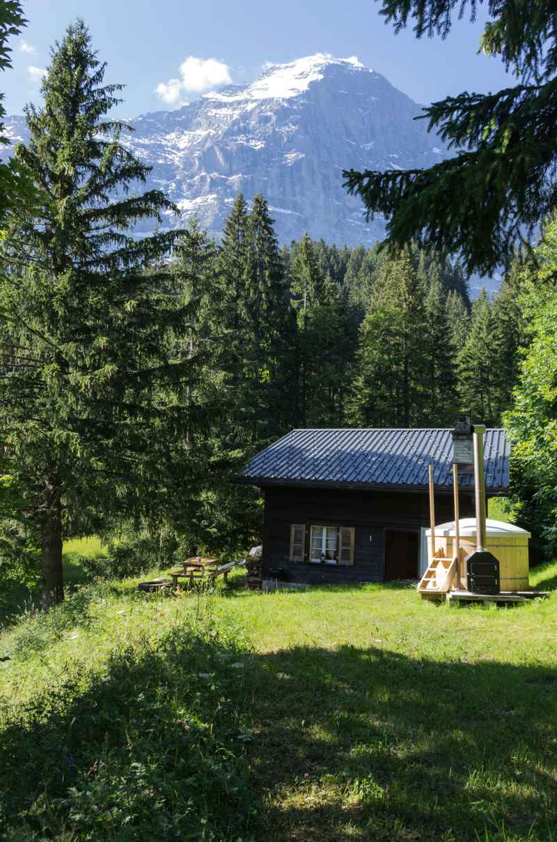 Weidli mit Eiger