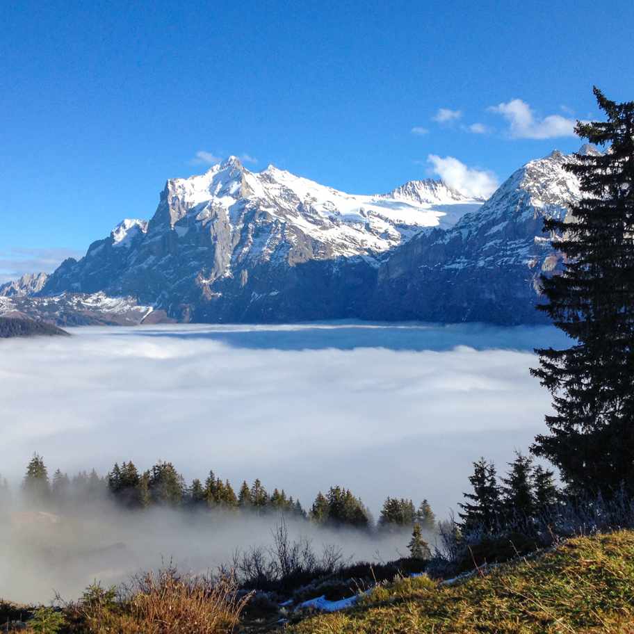 Nebelmeer Grindelwald