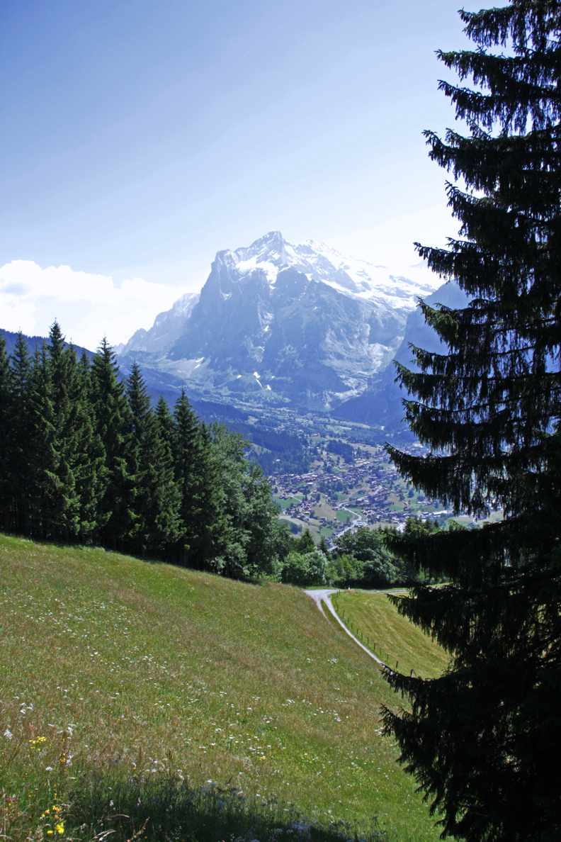 Blick auf das Wetterhorn